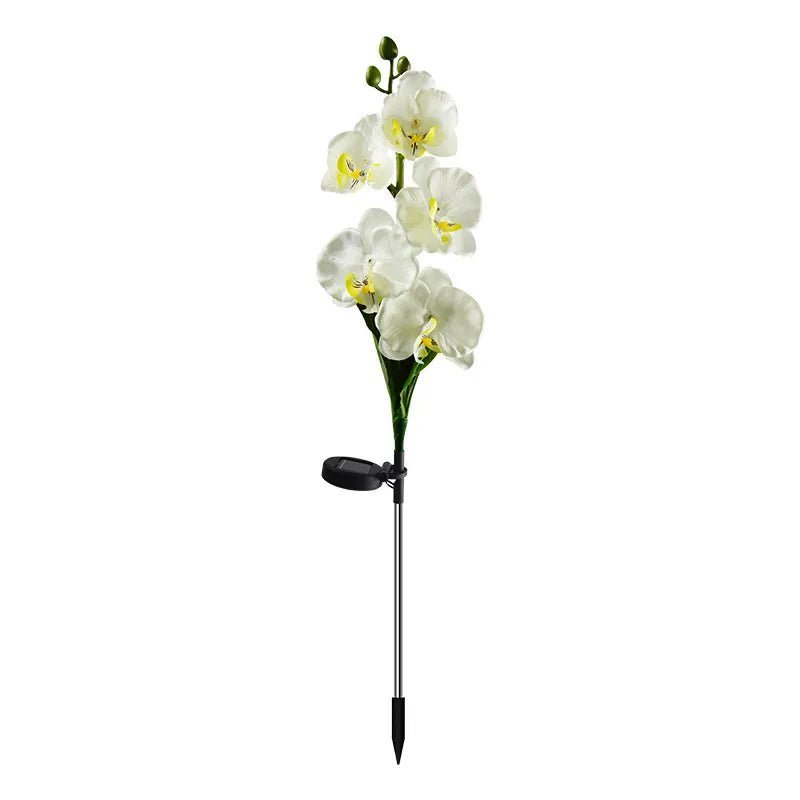 Saulės energija įkraunamas šviestuvas Phalaenopsis (2 vnt.)-S&V DECOR