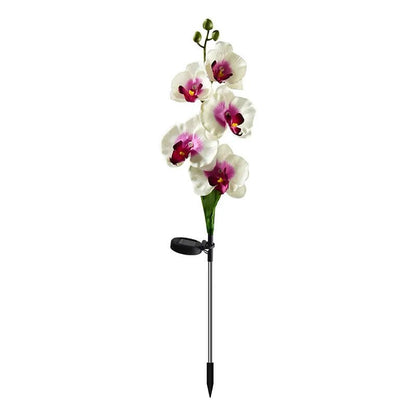 Saulės energija įkraunamas šviestuvas Phalaenopsis (2 vnt.)-S&V DECOR