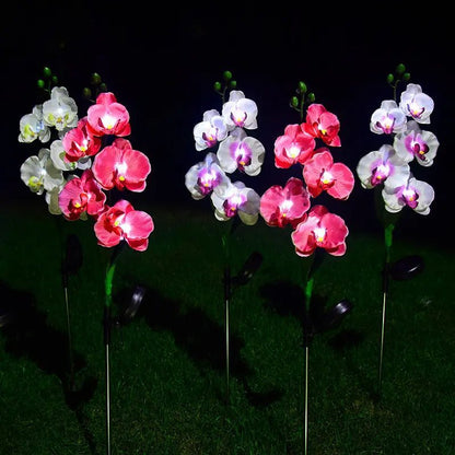 Saulės energija įkraunamas šviestuvas Phalaenopsis (2 vnt.)-S&V DECOR