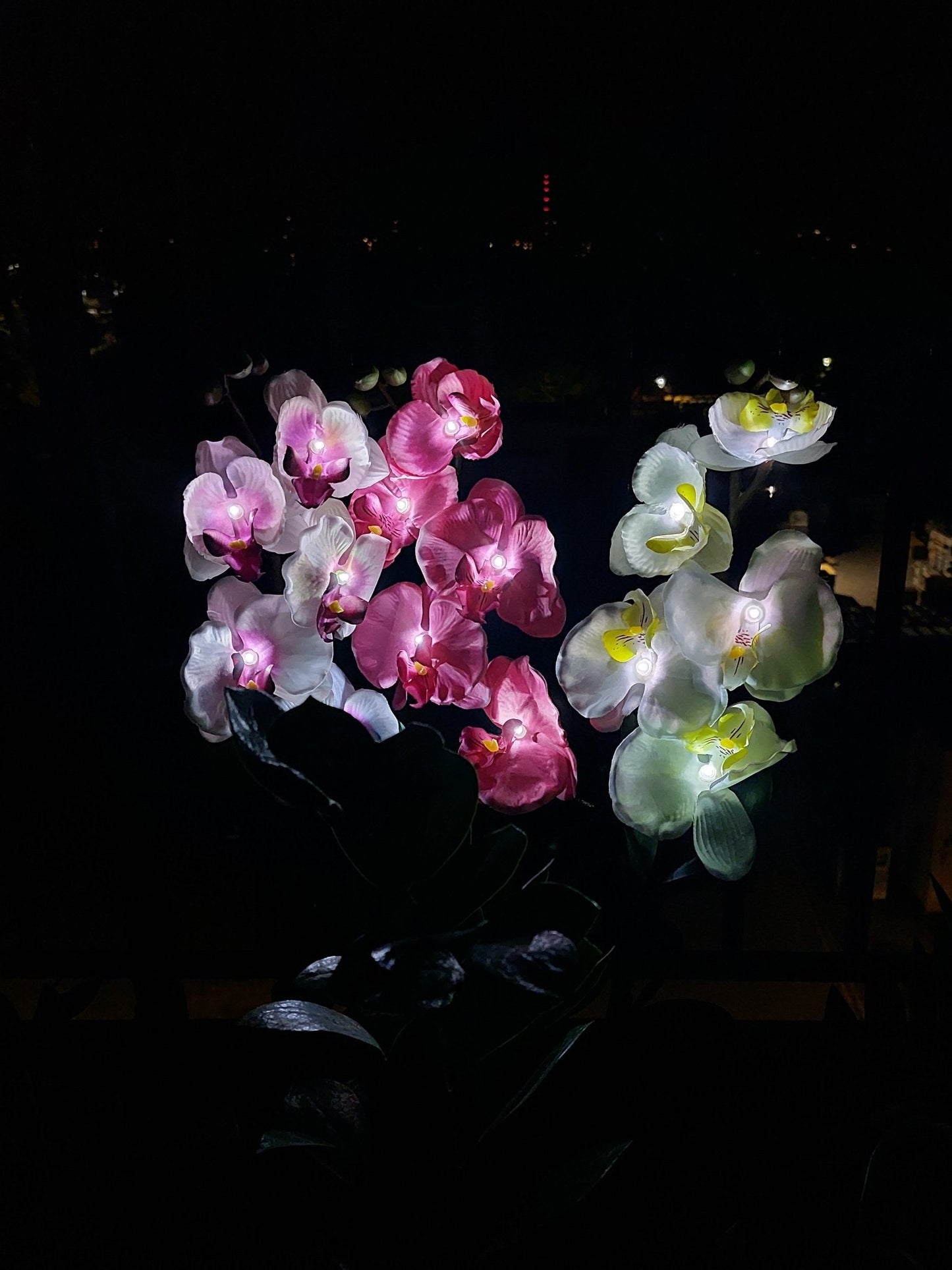 Saulės energija įkraunamas šviestuvas Phalaenopsis (2 vnt.)-S&V DECOR